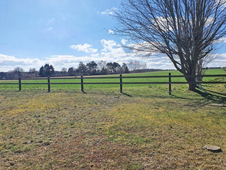 Ausblick auf angrenzende Wiesen Wohngrundst�ck M�lschow