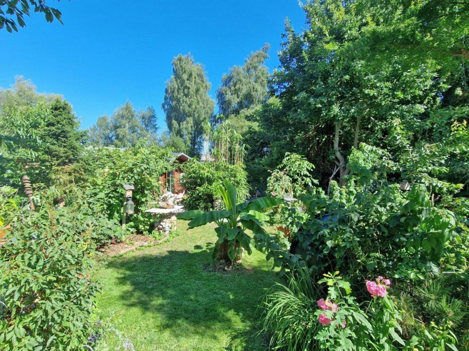 Blick in den Garten Einfamilienhaus Karlshagen