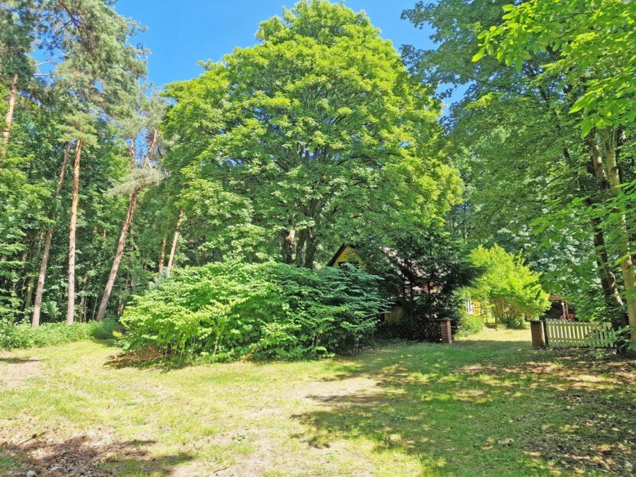 Blick zum Haus Einfamilienhaus �ckeritz