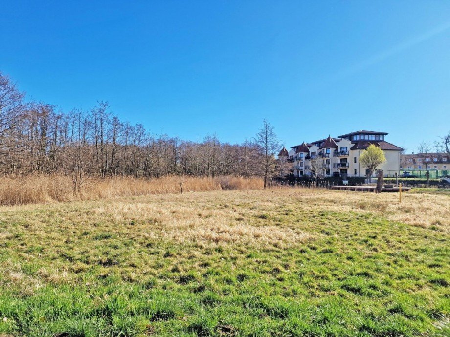 Blick ins Gr�ne Wohnung Bansin