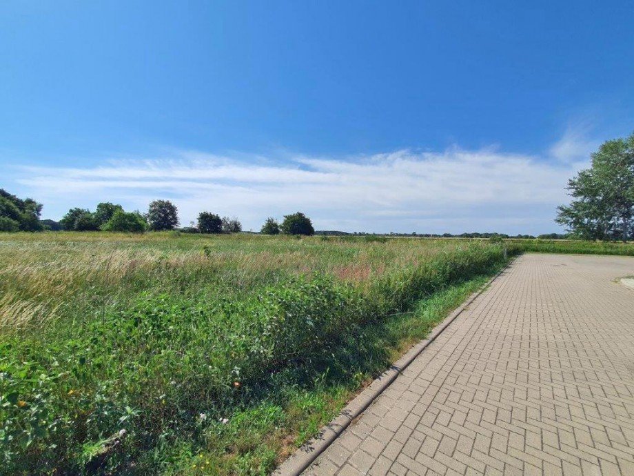 angrenzende Wiesen Einfamilienhaus Zinnowitz