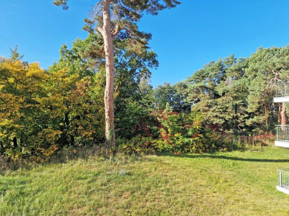 Ausblick vom Balkon_ Wohnung Seebad Heringsdorf