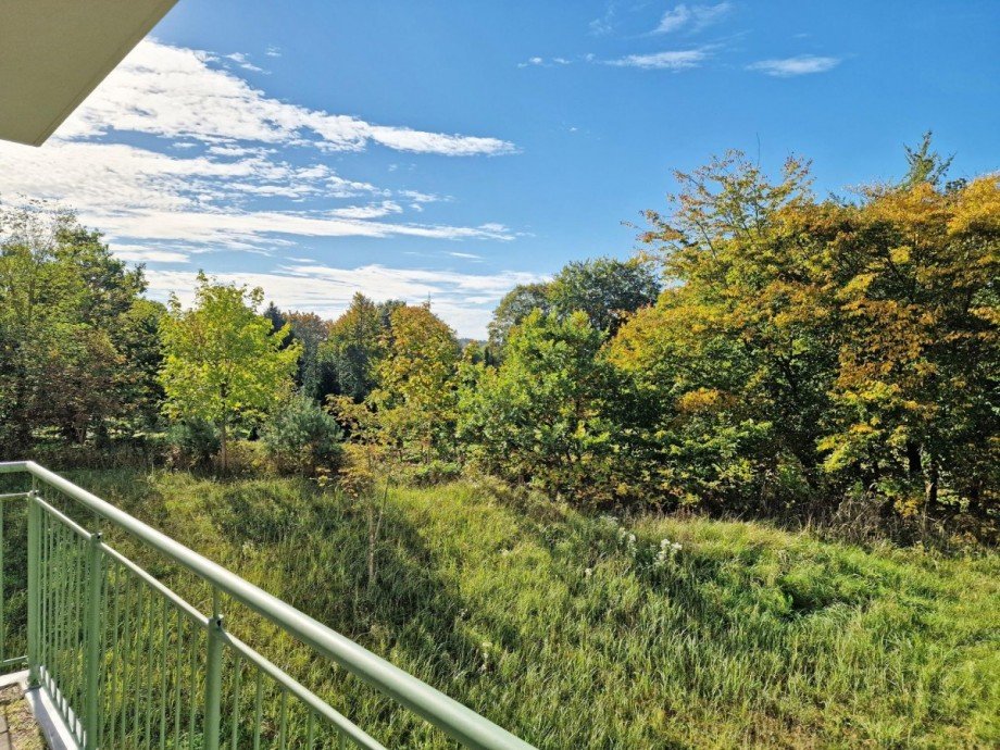 Ausblick vom Balkon Wohnung Seebad Heringsdorf