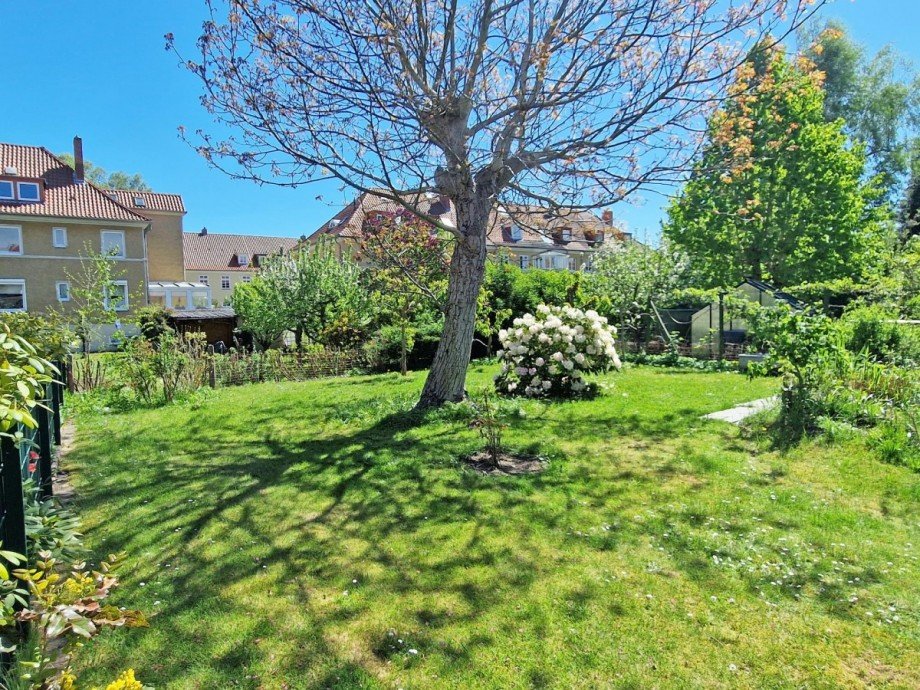 Garten Doppelhaush�lfte Greifswald