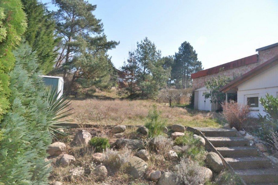 Blick in den Garten Wohnung Zirchow