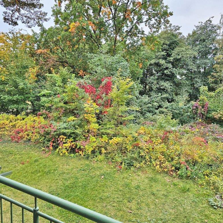 Ausblick vom Balkon Wohnung Heringsdorf
